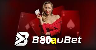 Programa VIP 80a